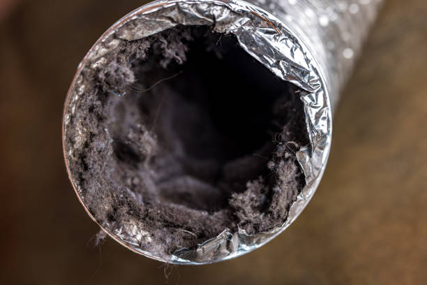 Best Residential Air Duct Cleaning  in West Canton, NC