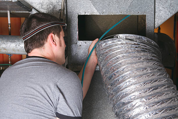 Best Air Duct Sanitizing Services  in West Canton, NC