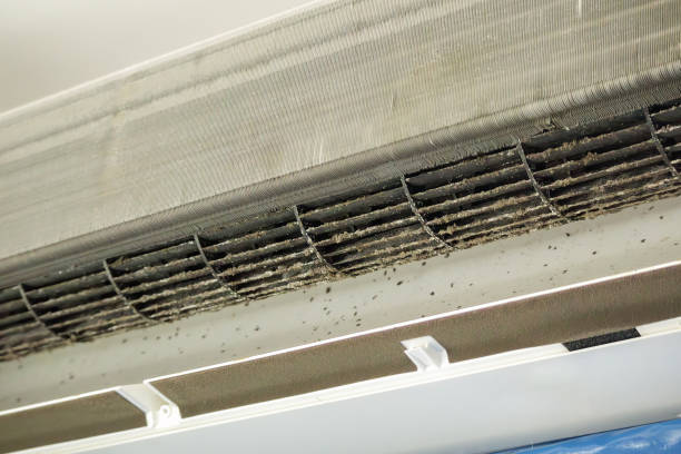 Best Residential Air Duct Cleaning  in West Canton, NC